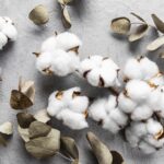 綿とコットン、どちらを選べば失敗しないか